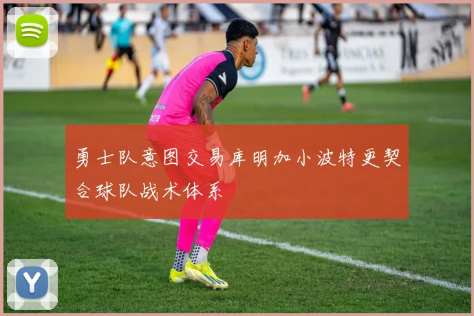 勇士队意图交易库明加小波特更契合球队战术体系